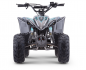 Preview: Apollo Quad Sano Predator 110cc